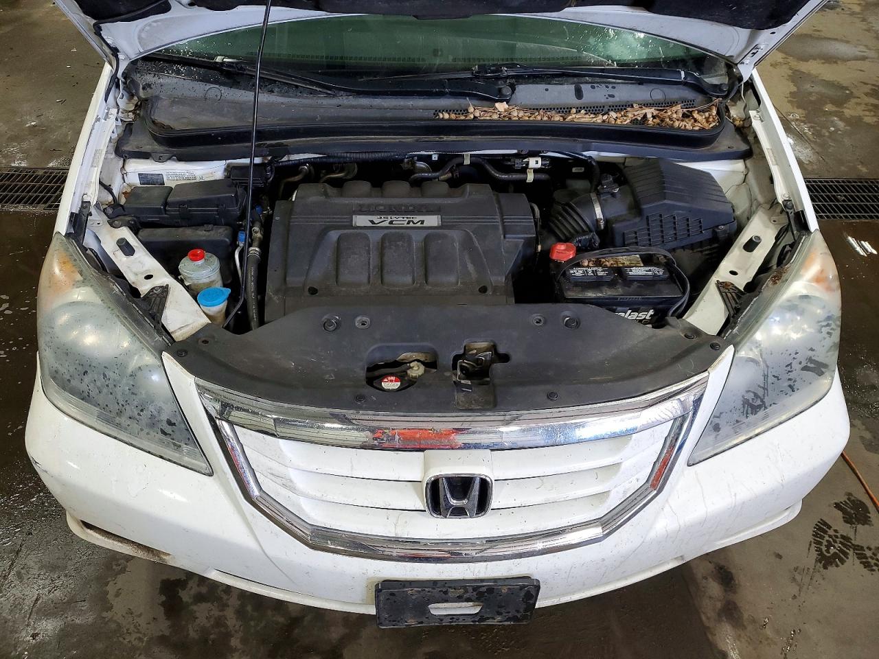 Honda Odyssey Exl