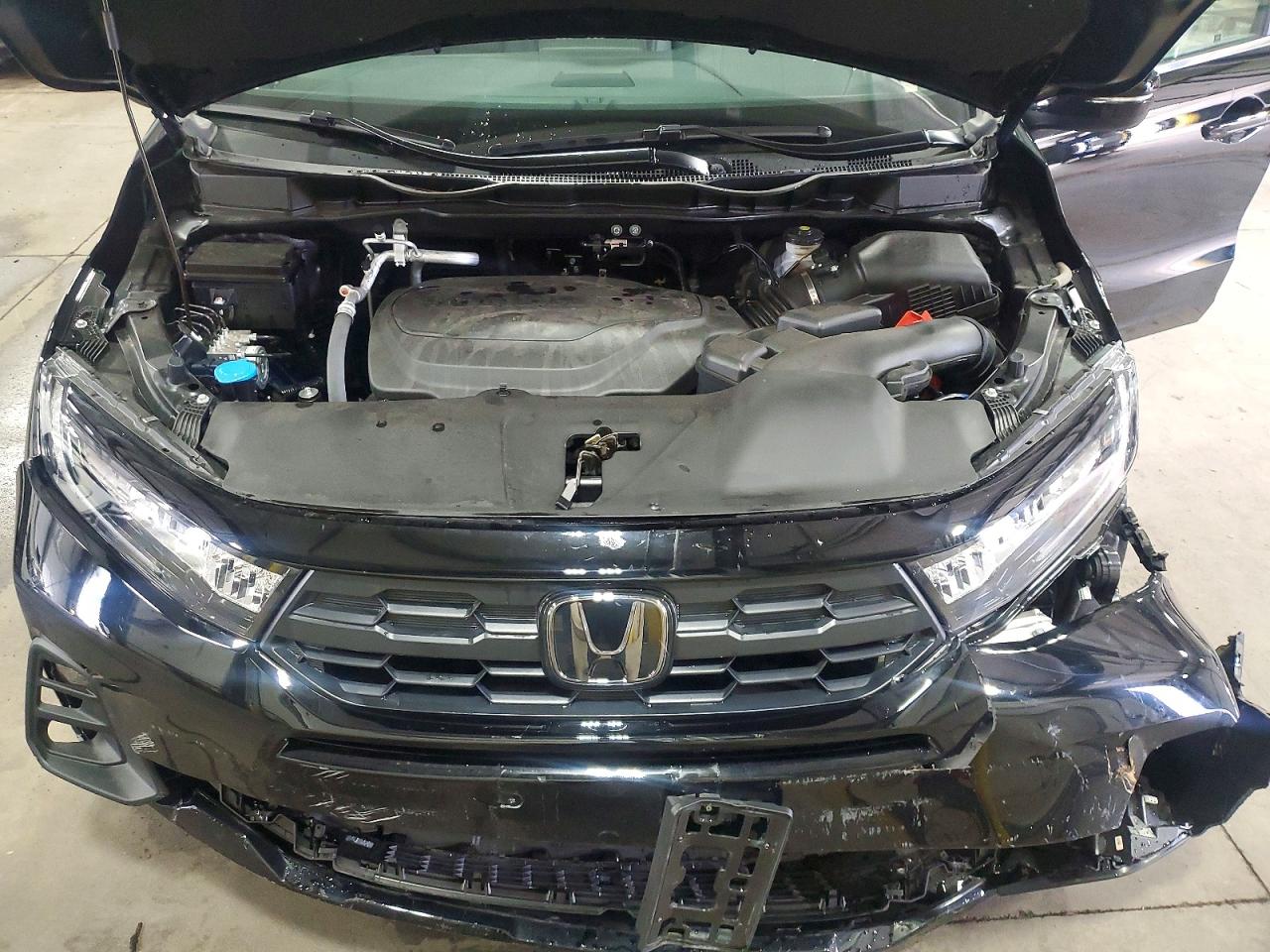 Honda Odyssey Exl