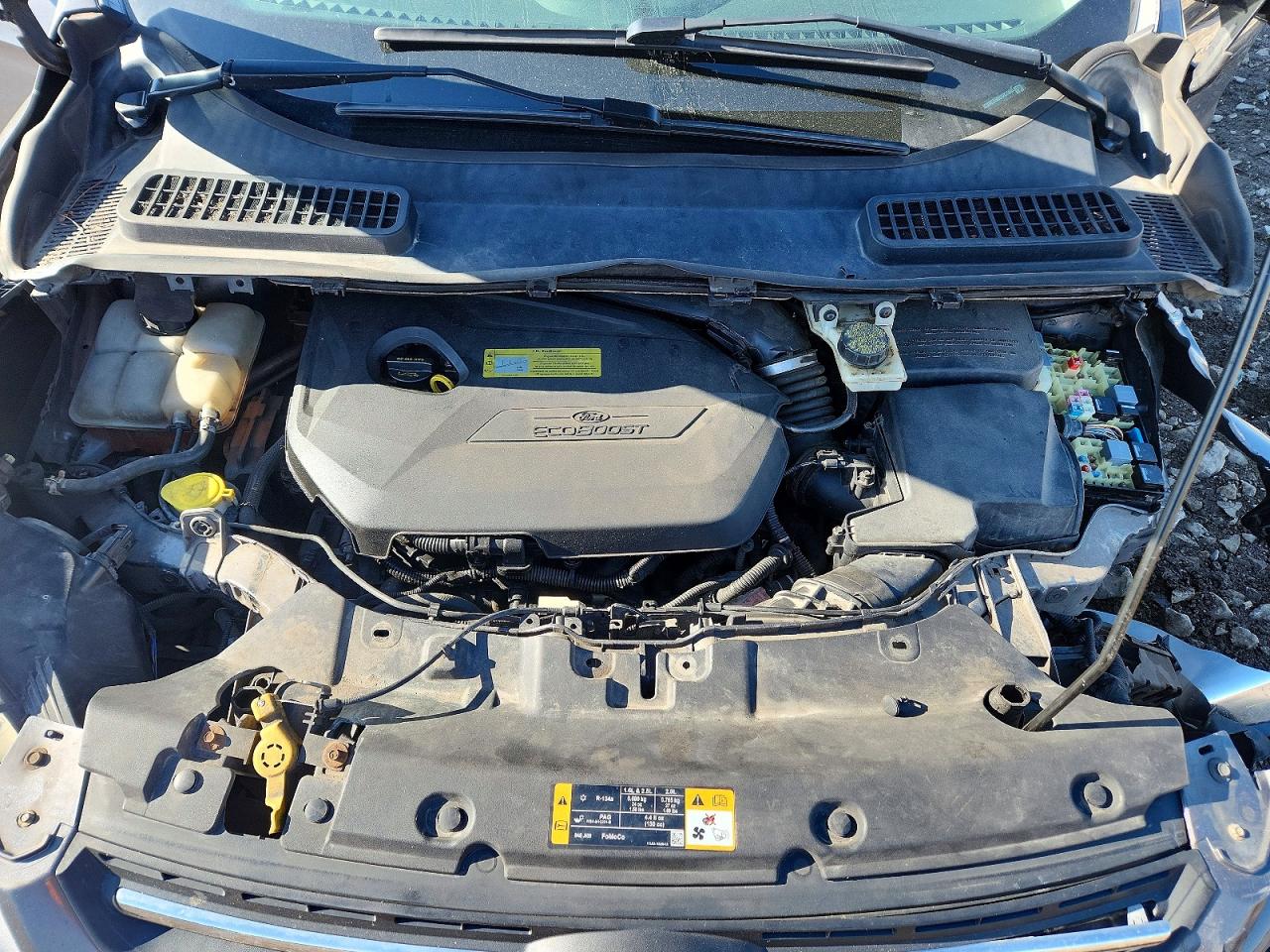 Ford Escape Se