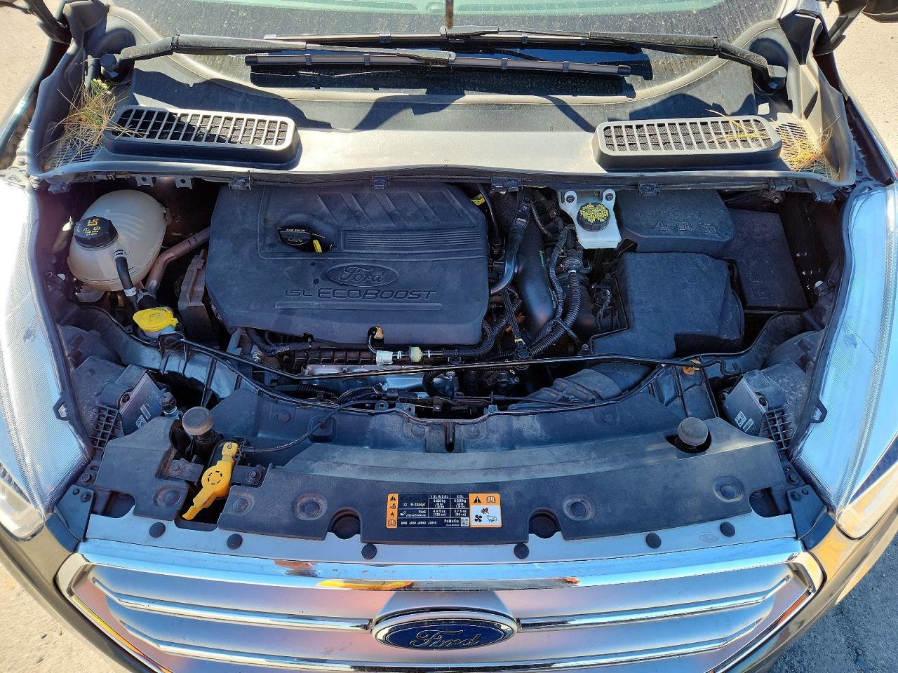 Ford Escape Sel