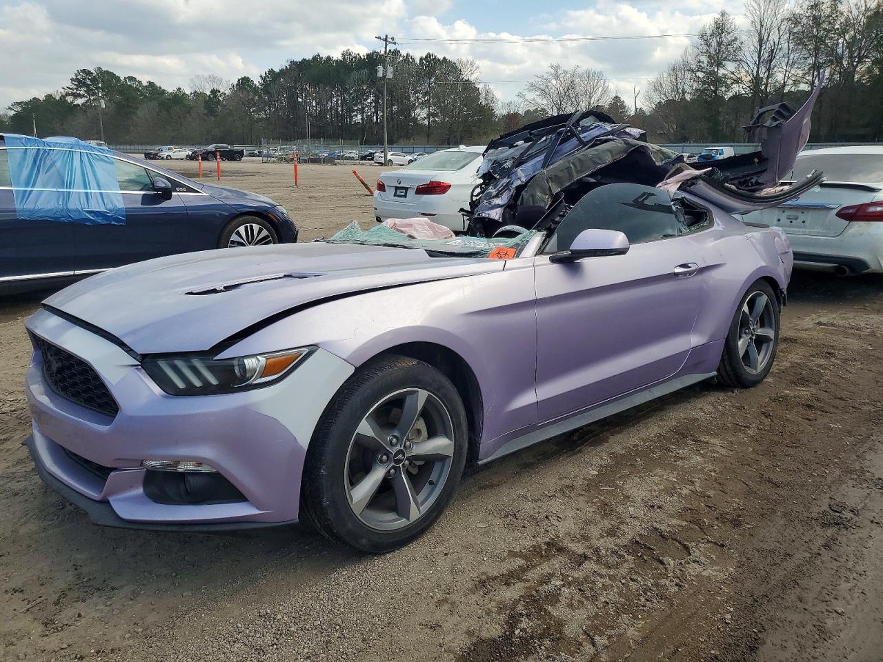 Salvage Ford Mustang Image