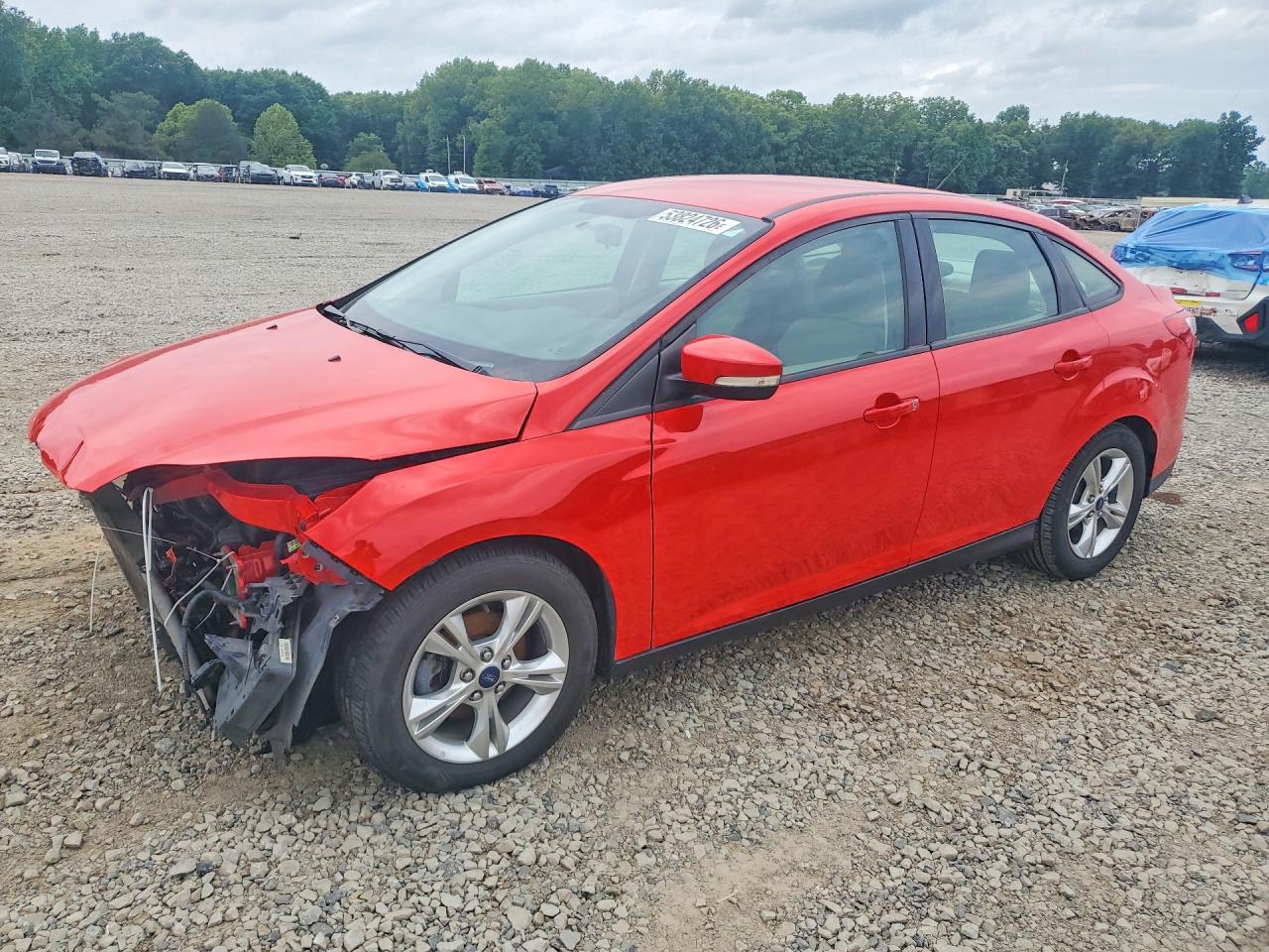 Salvage Ford Focus Image