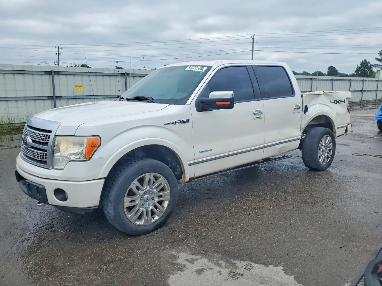 Salvage Ford F-150 Image