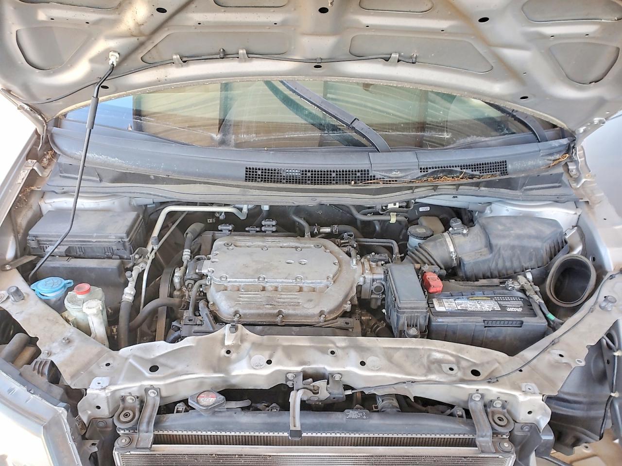Honda Odyssey Exl