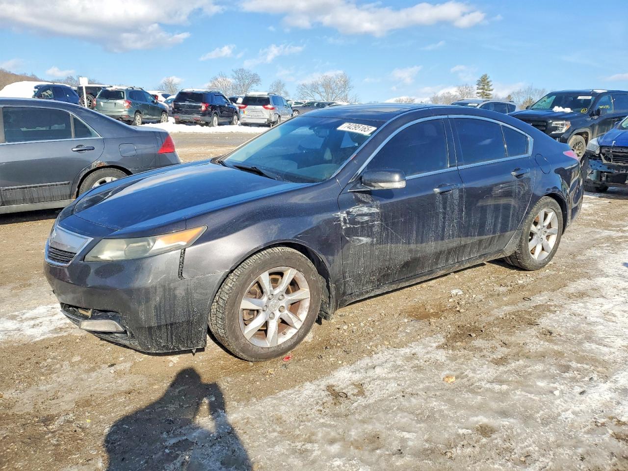 Salvage Acura TL Image