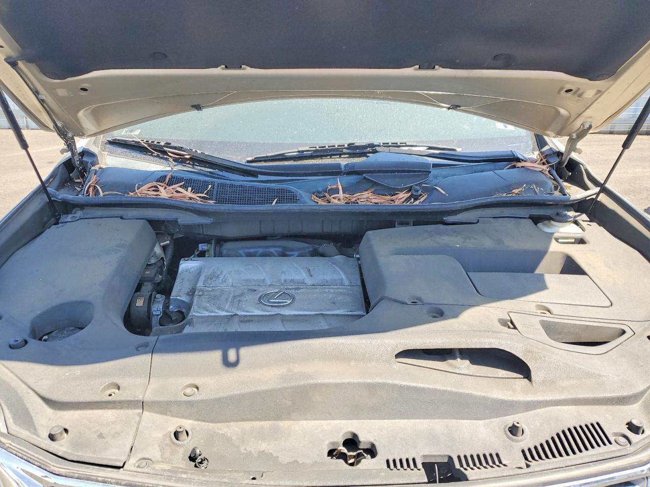 Lexus RX Base