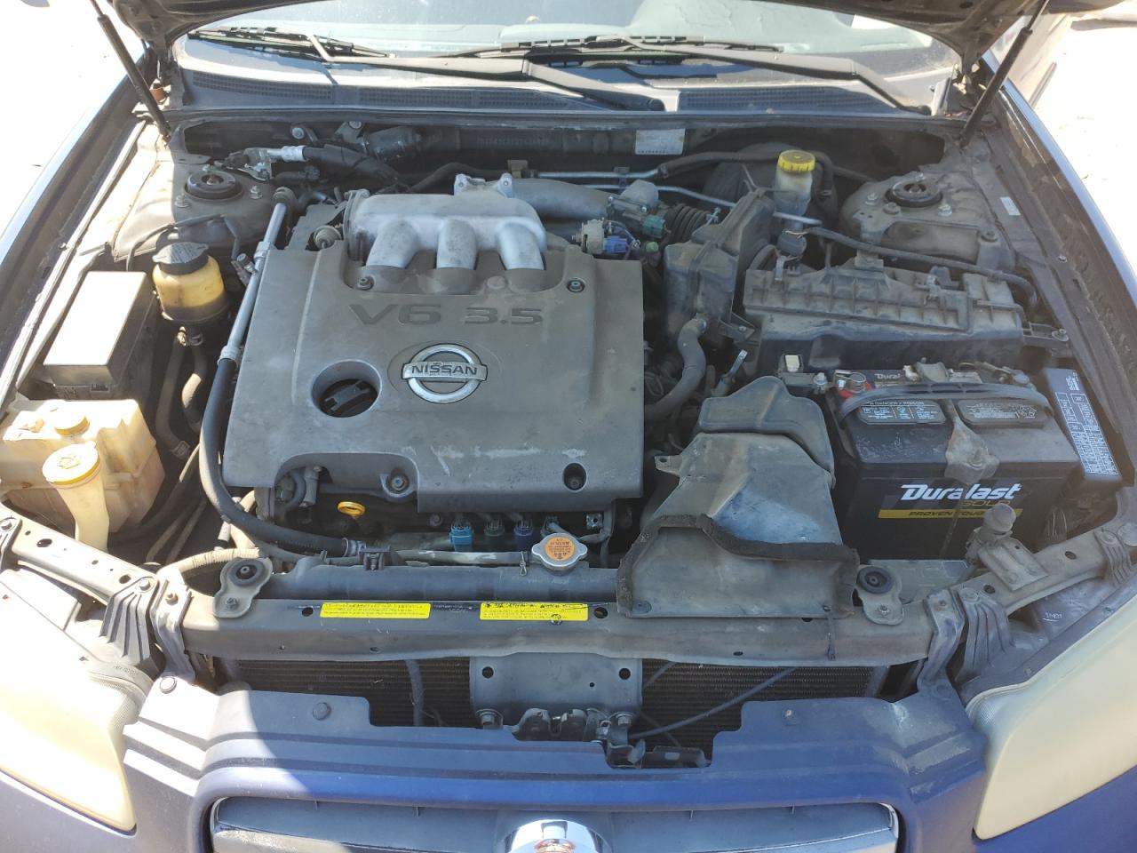 Nissan Maxima Gle