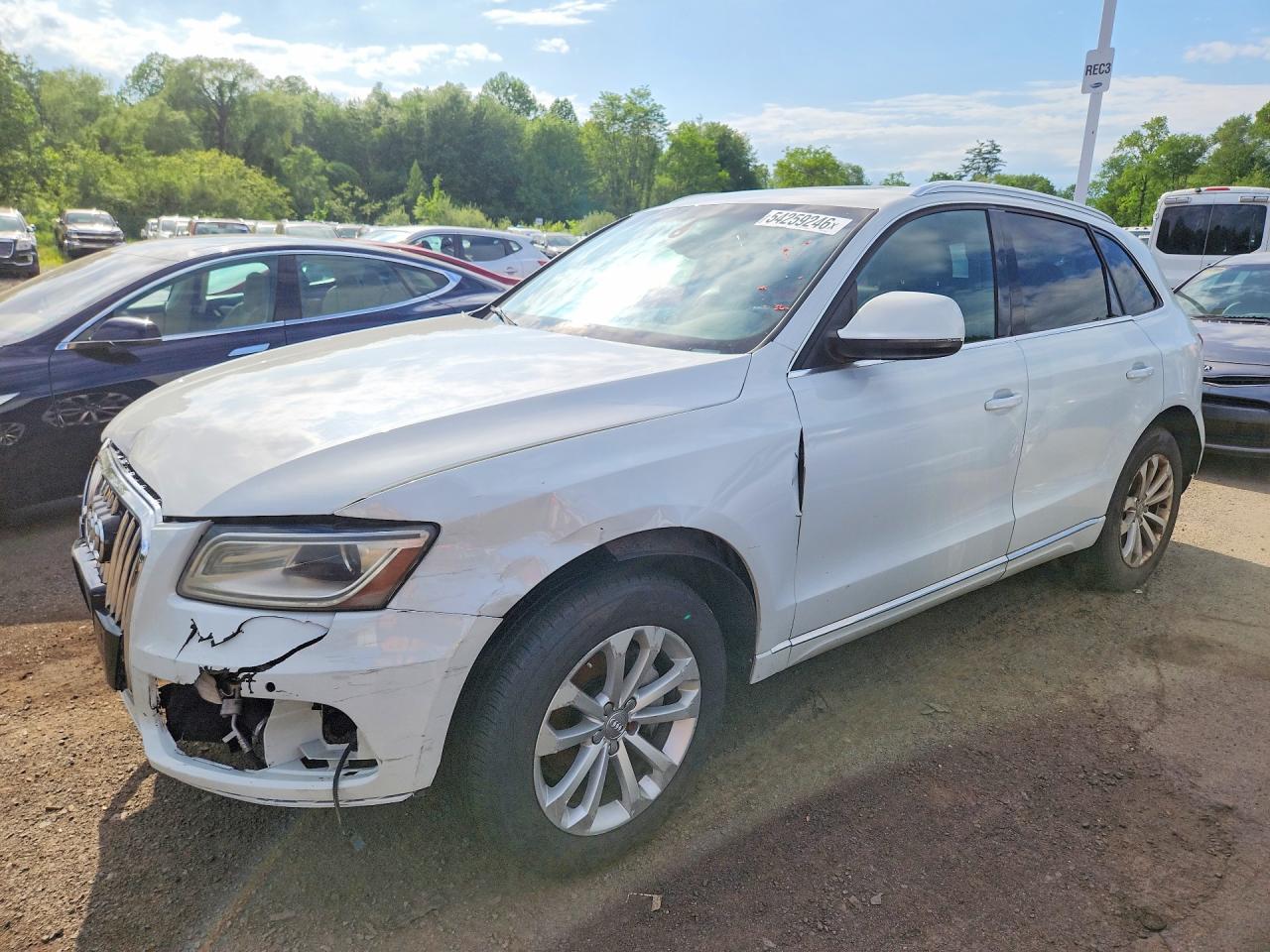 Salvage Audi Q5 Image
