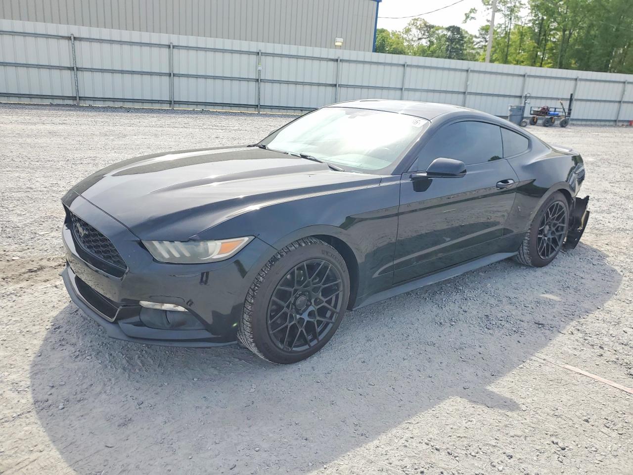 Salvage Ford Mustang Image