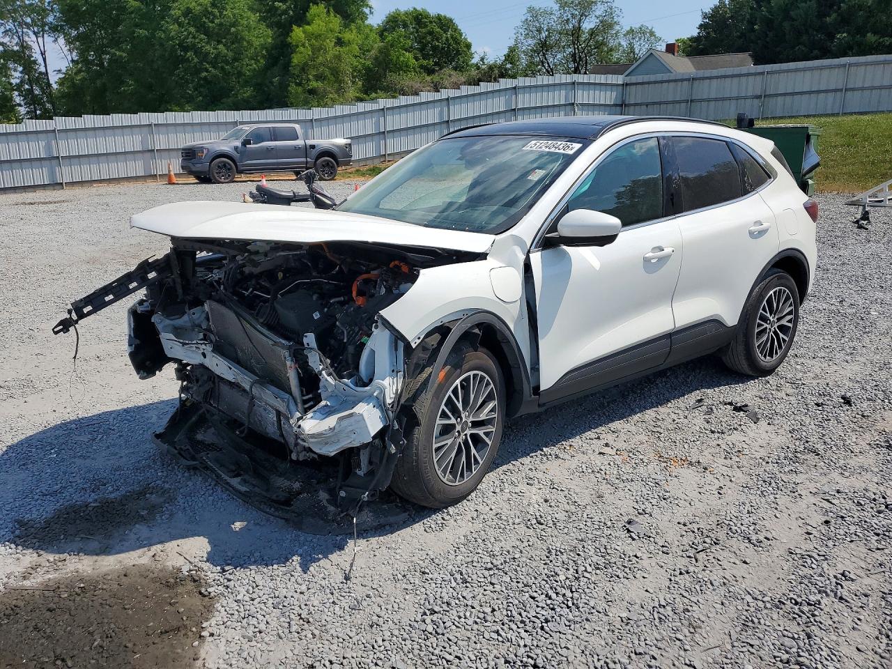 Salvage Ford Escape Image