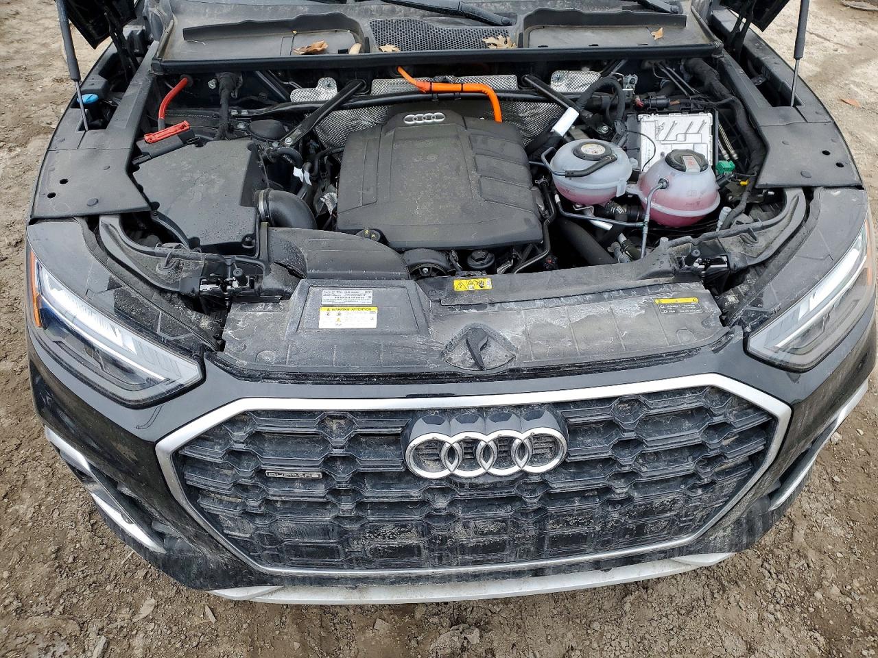 Audi Q5 Premium Plus 55