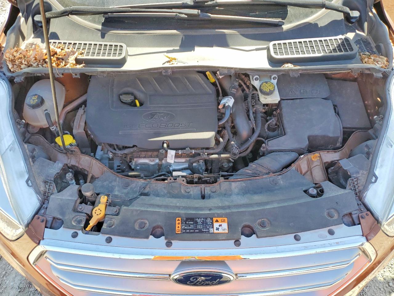 Ford Escape Se