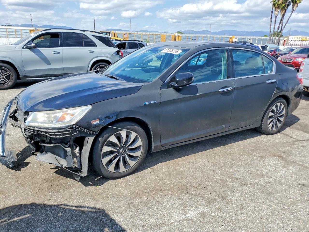 Salvage Honda Accord Image