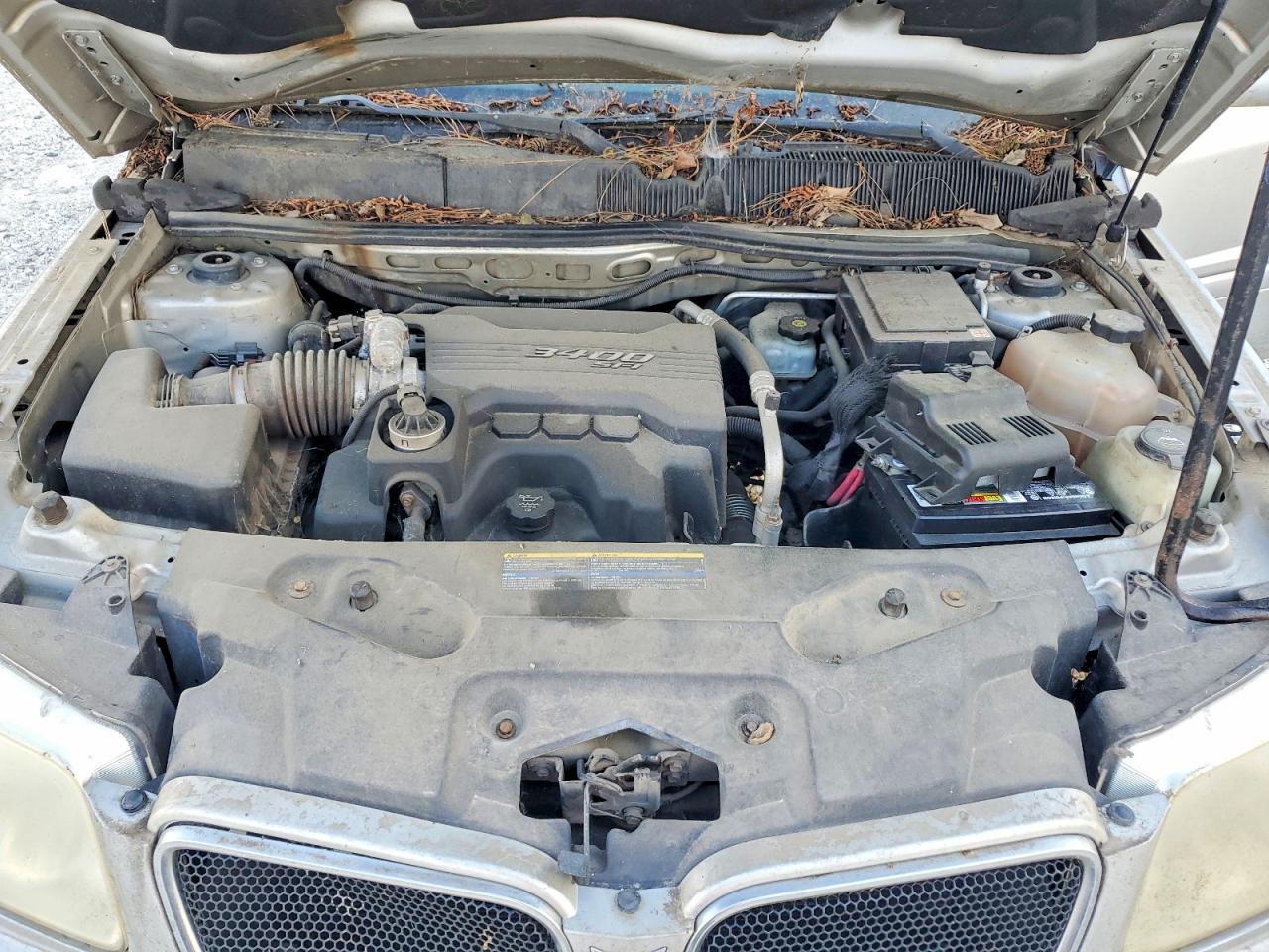 Pontiac Torrent