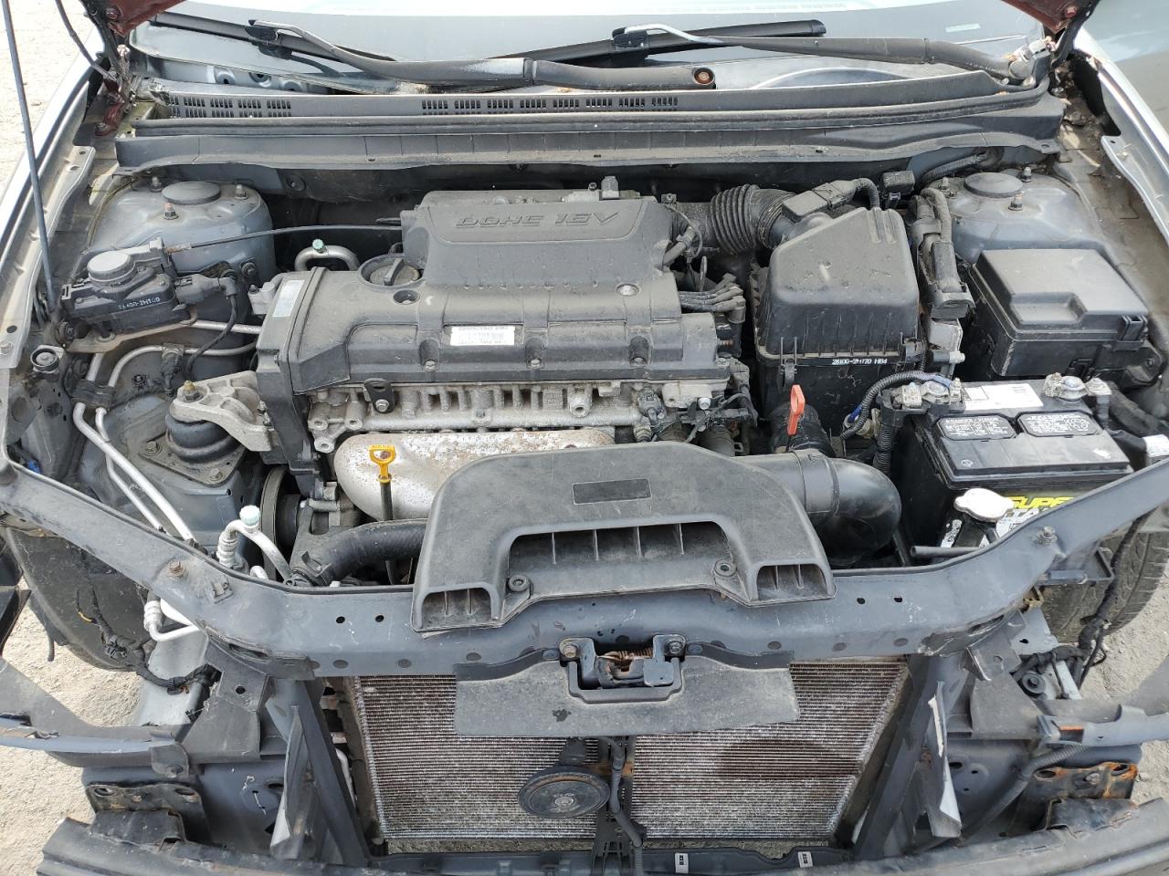 Hyundai ELANTRA Blue