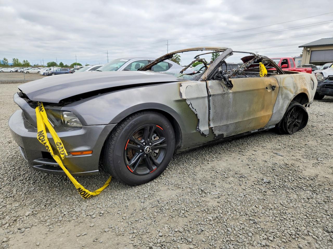 Salvage Ford Mustang Image