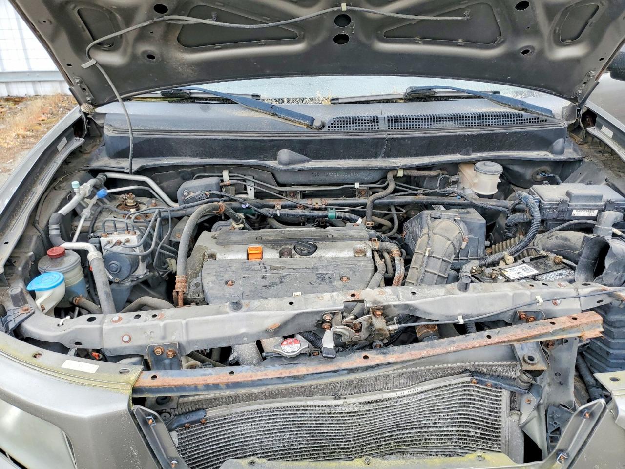 Honda Element Ex