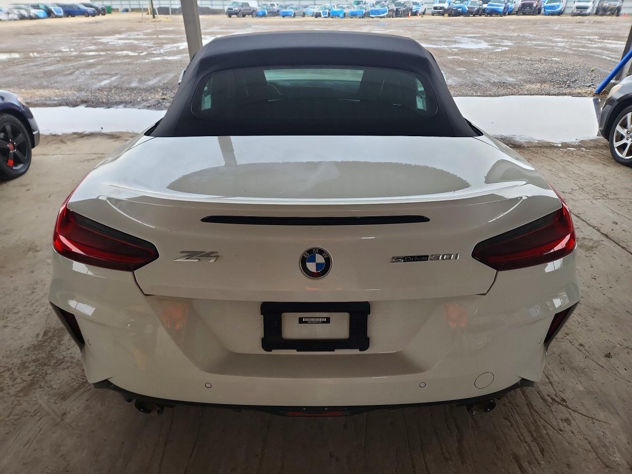 BMW Z Series Sdrive30i