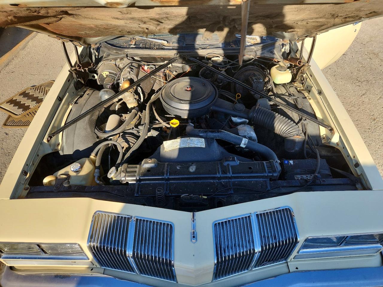 Olds Cutlass