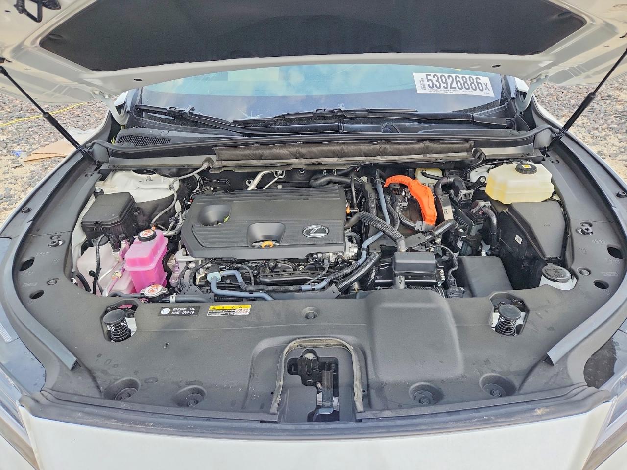 Lexus Other Premium+