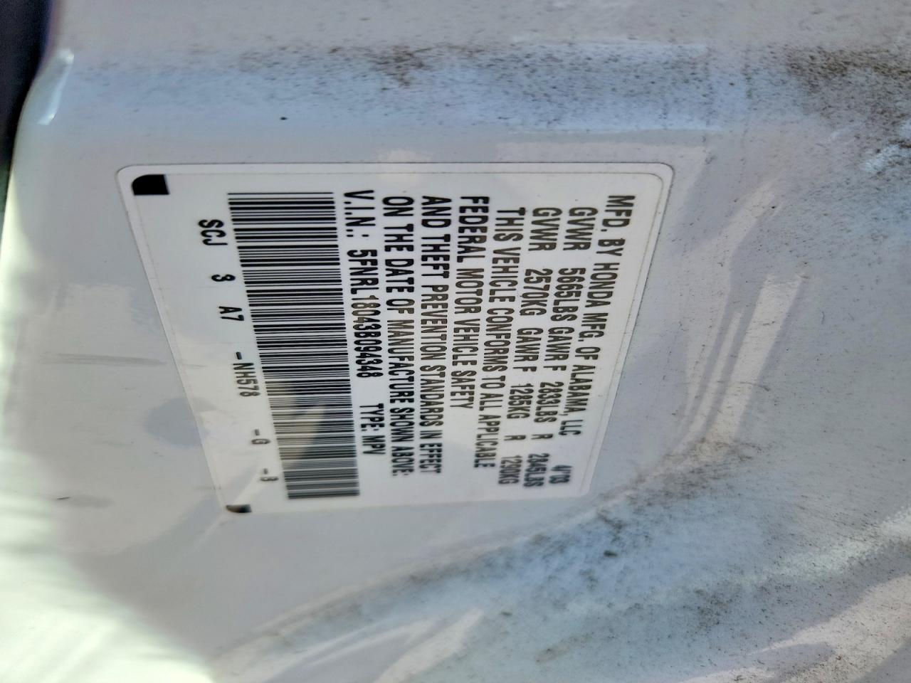 Honda Odyssey Exl