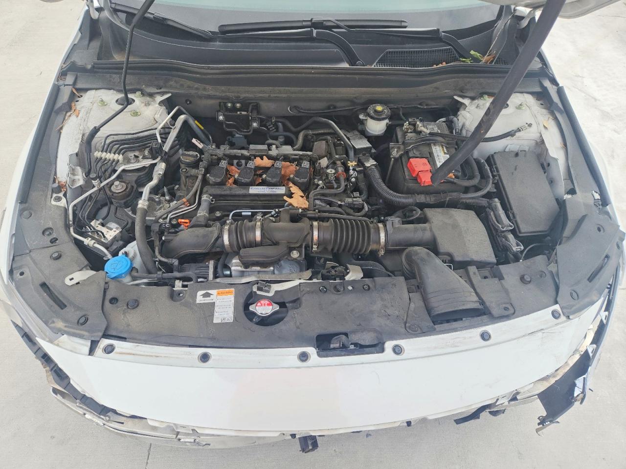 Honda Accord Ex