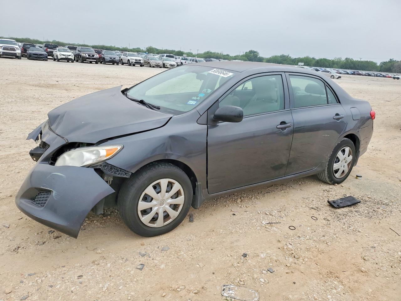 Salvage Toyota Corolla Image