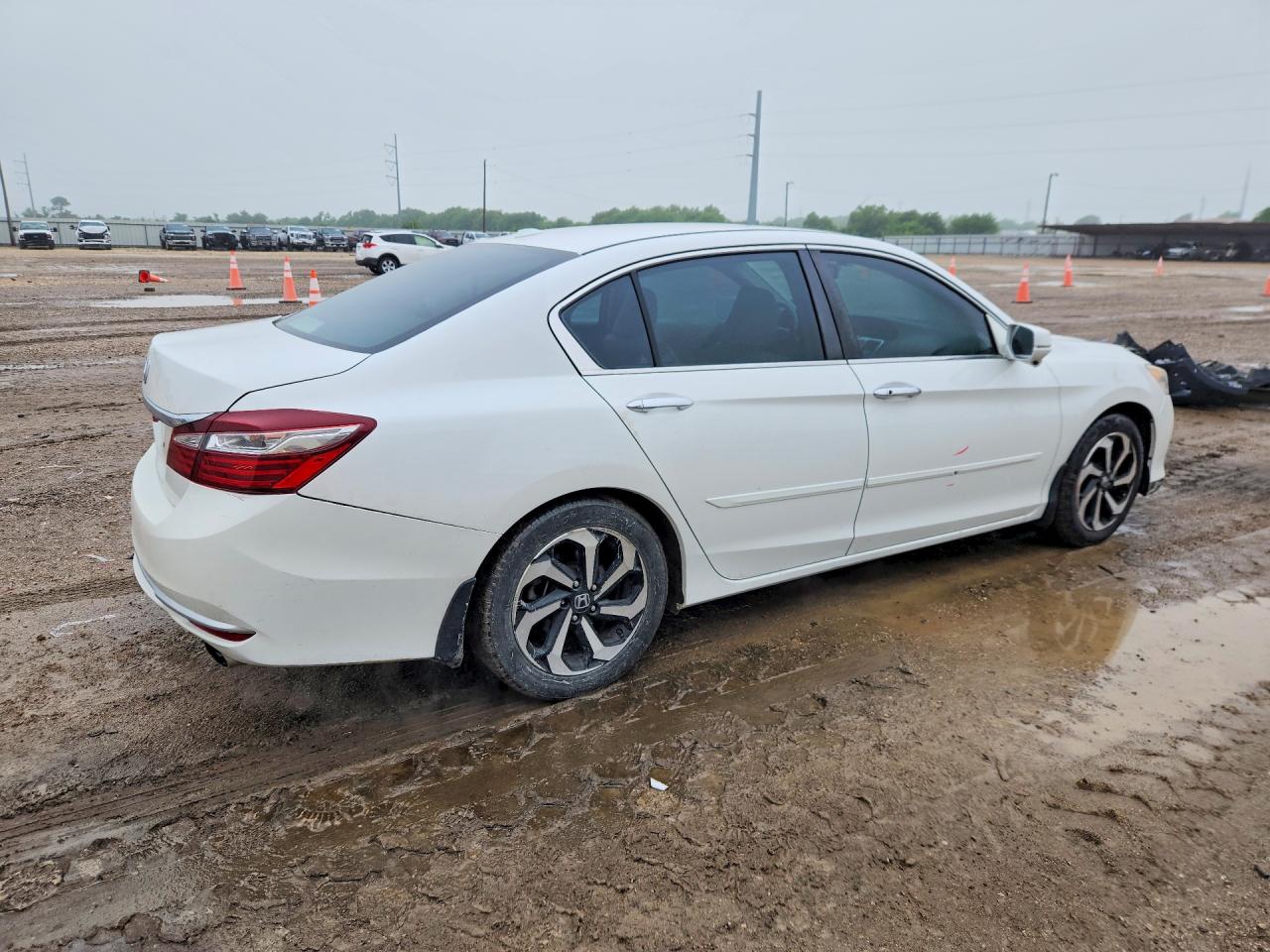 Honda Accord Exl