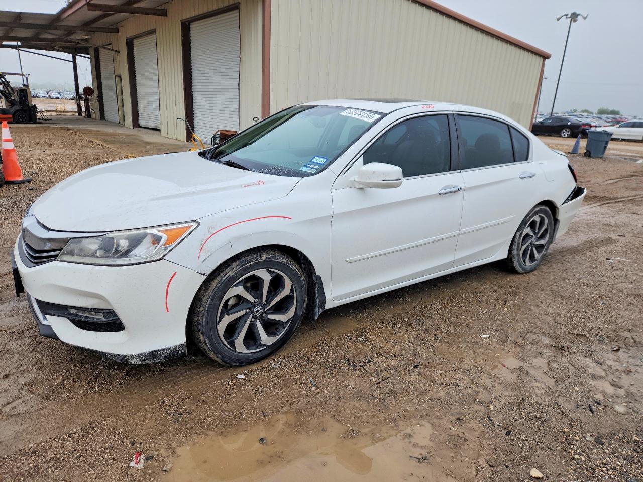 Salvage Honda Accord Image