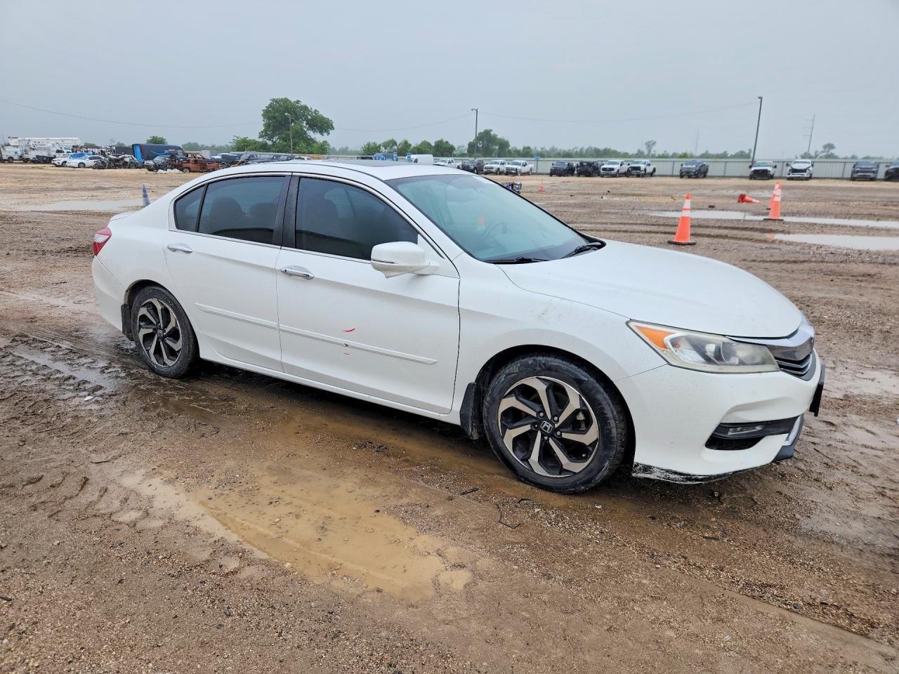 Honda Accord Exl