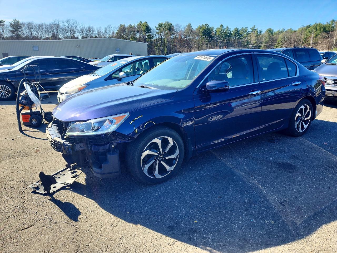 Salvage Honda Accord Image