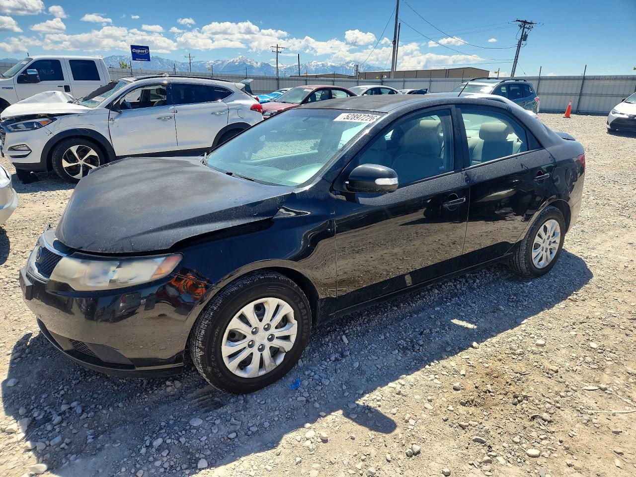 Salvage Kia Forte Image