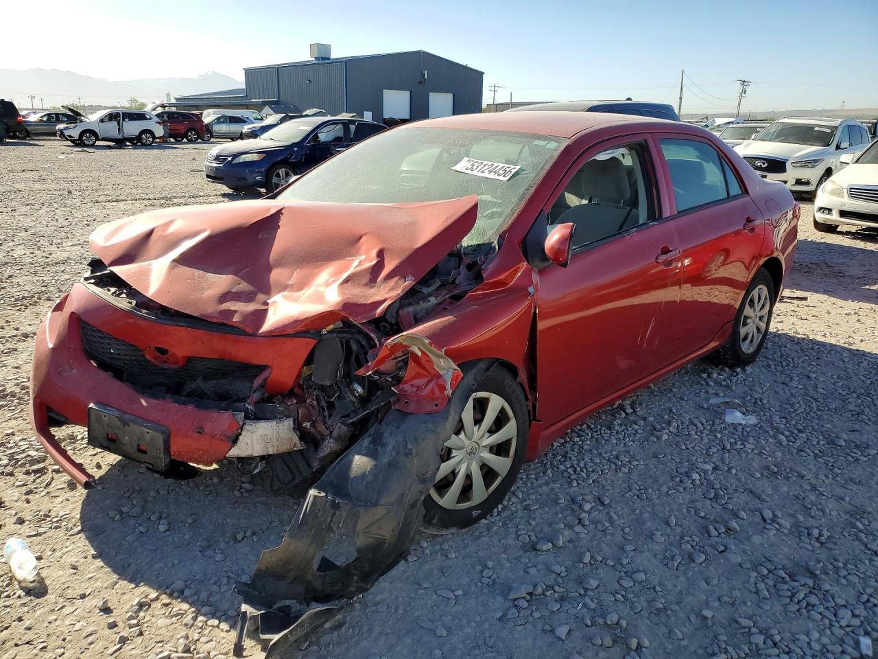 Salvage Toyota Corolla Image