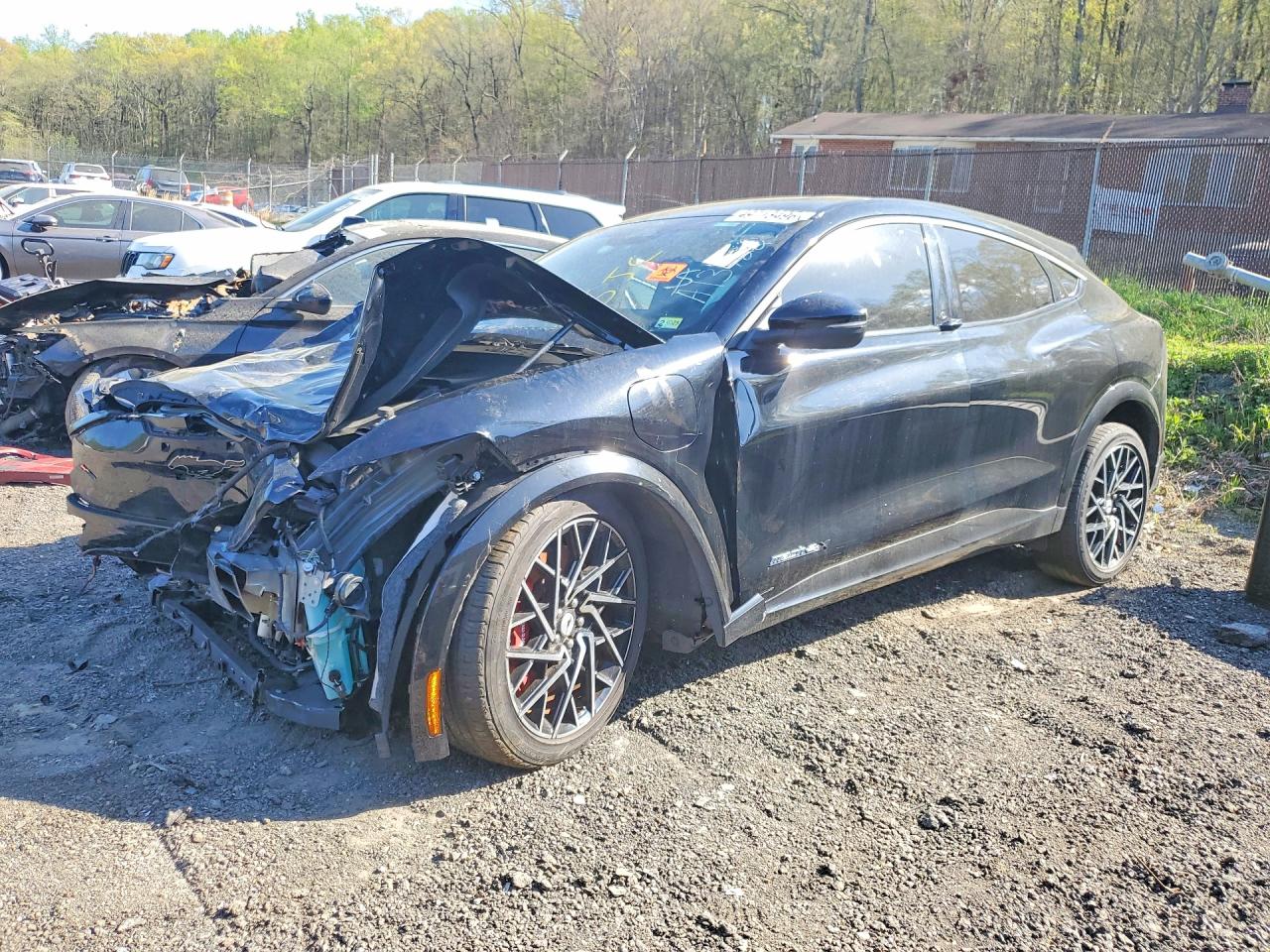 Salvage Ford Mustang Image