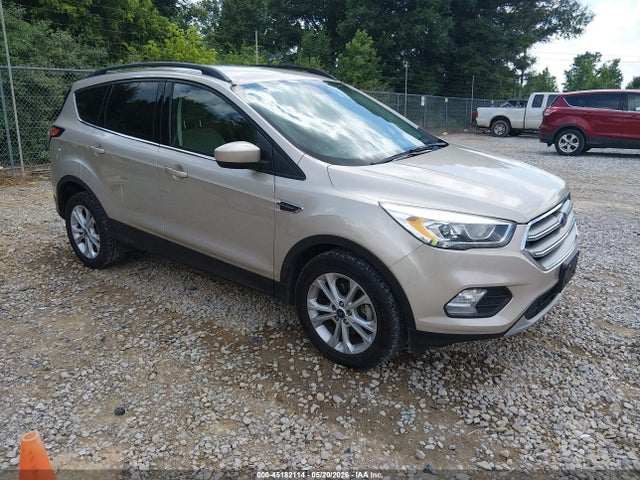 Salvage Ford Escape Image