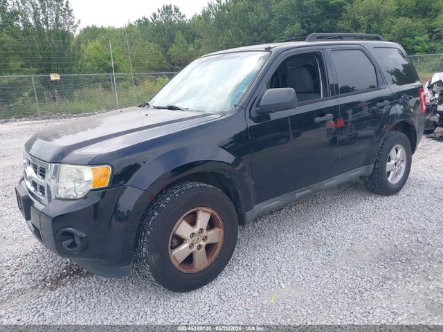 Ford Escape Xls