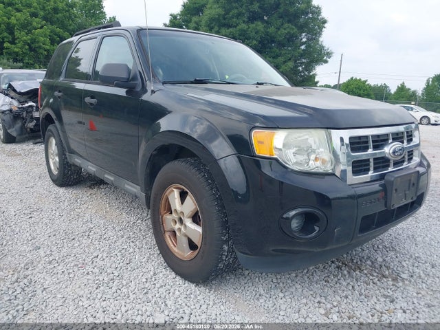Ford Escape Xls