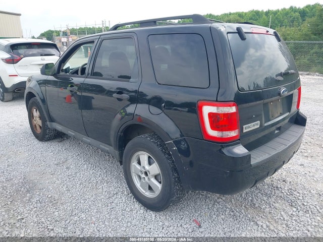Ford Escape Xls