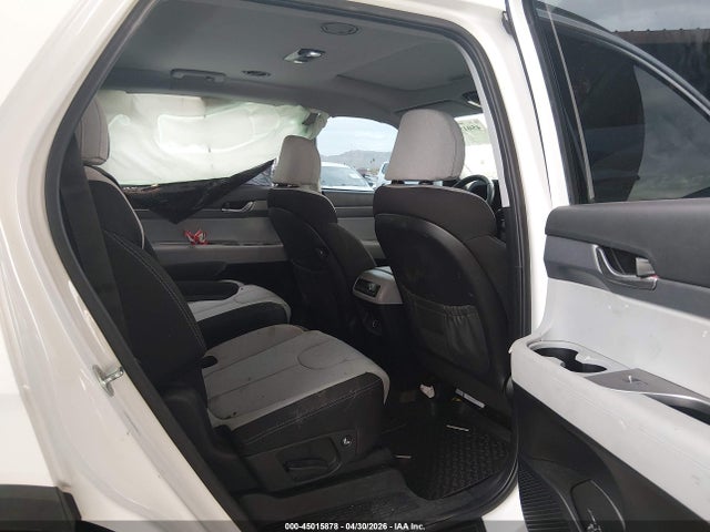 Hyundai PALISADE Sel
