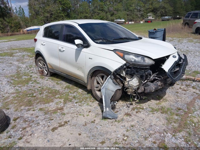 Salvage Kia Sportage Image