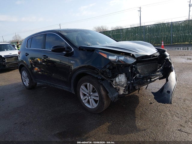 Salvage Kia Sportage Image