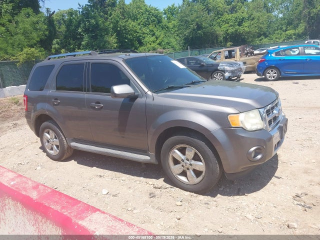 Salvage Ford Escape Image