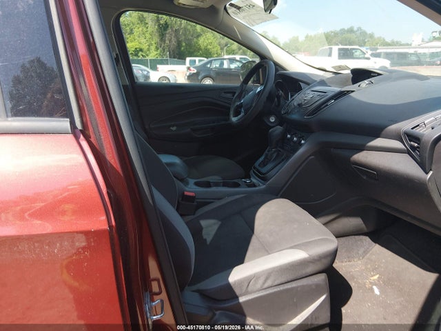 Ford Escape S