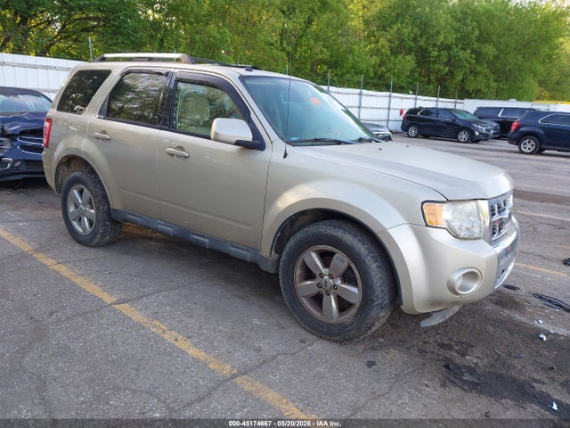Salvage Ford Escape Image