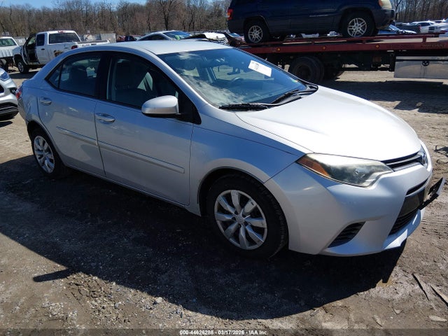 Salvage Toyota Corolla Image