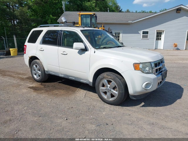 Salvage Ford Escape Image