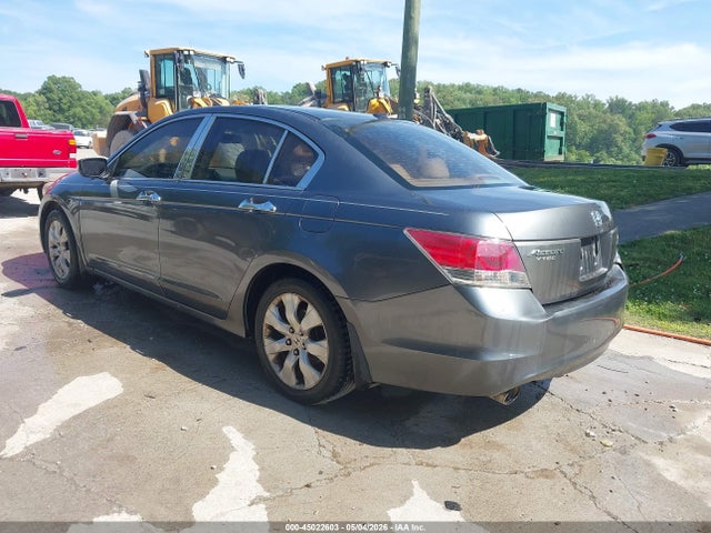 Honda Accord 3.5 Ex-l
