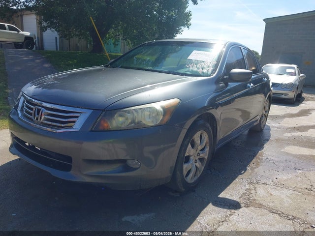 Honda Accord 3.5 Ex-l