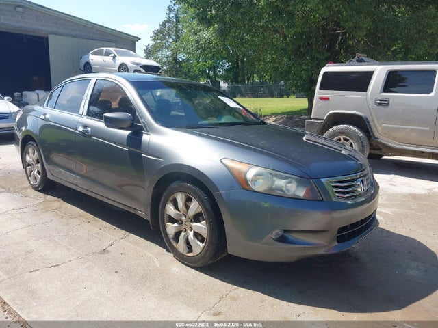Salvage Honda Accord Image