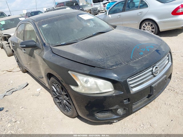 Salvage Nissan Maxima Image